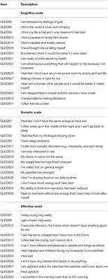 New Perspectives in the Adaptive Assessment of Depression: The ATS-PD Version of the QuEDS